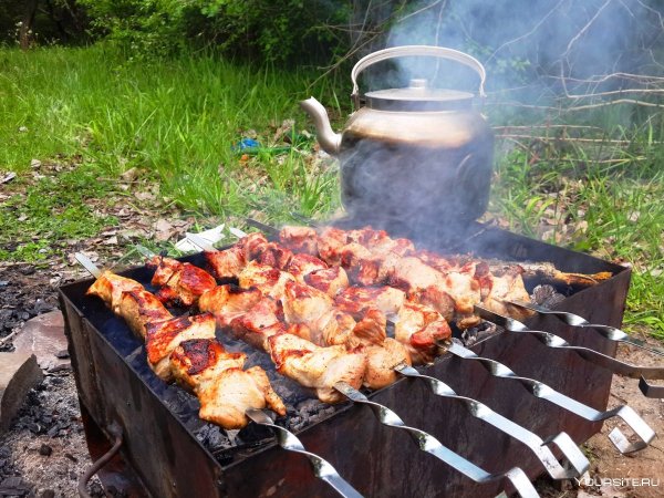 Шашлык на мангале