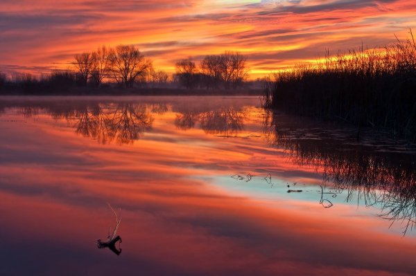 Русская природа