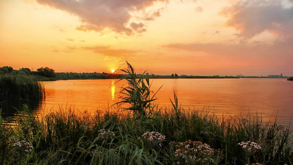 Вечерз на берегк у реки
