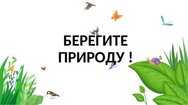 Береги природу для детей