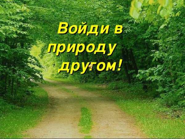 Войди в природу другом