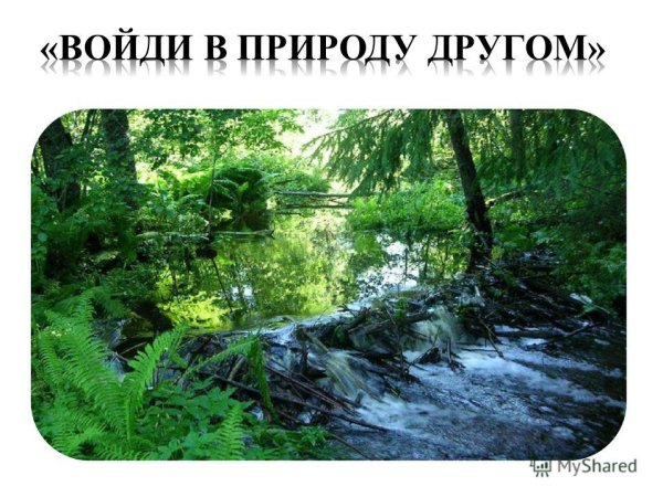 Войди в природу другом