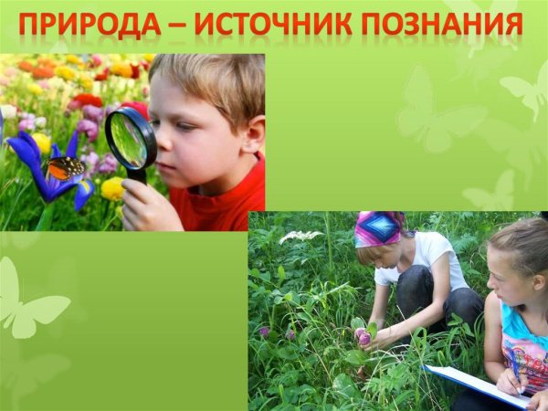 Экология для дошкольников