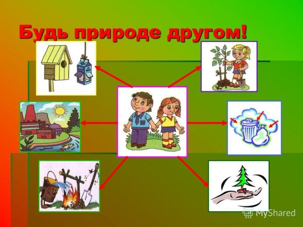 Тема будь природе другом