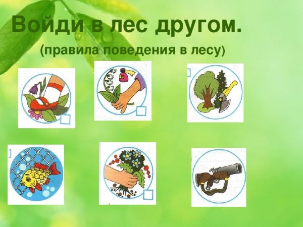 Стихи дети друзья природы