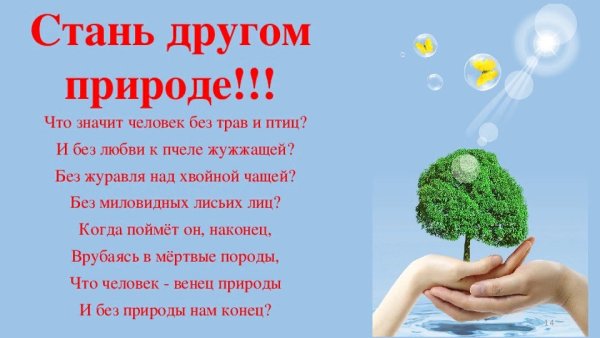 Человек и природа