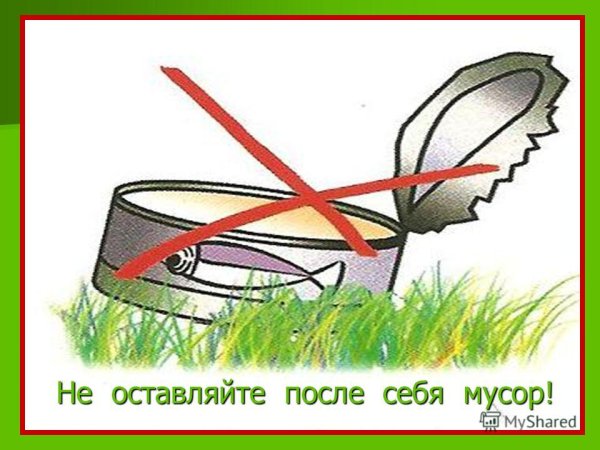 Друзья на природе