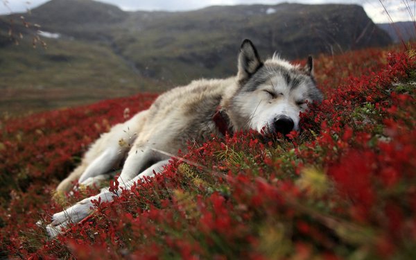Путешествия природа