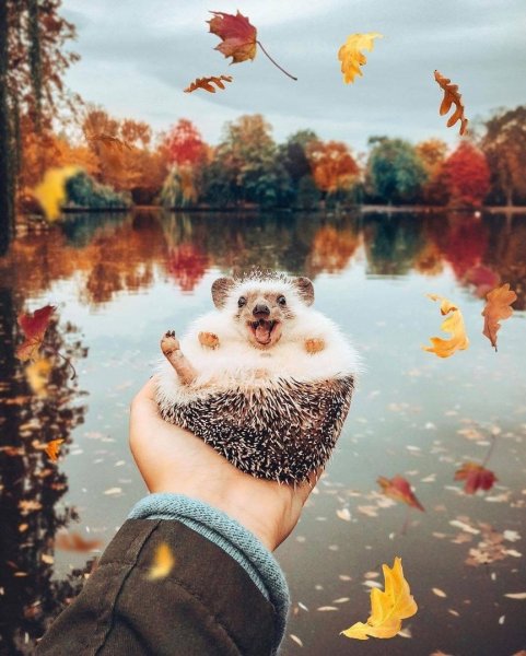 Завораживающие пейзажи