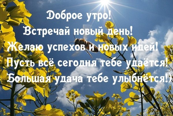 Хорошие пожелания с добрым утром с природой