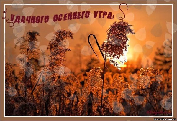 Доброе осеннее утро ноября