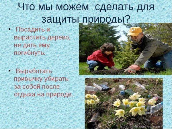 Что делается для защиты природы