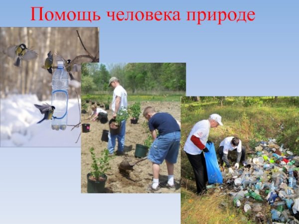 Охрана природы человеком