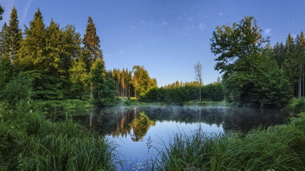 Лесное озеро (Forest Lake)
