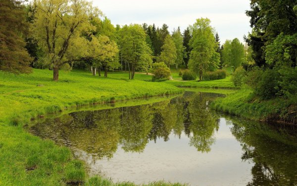 Лето парк Томск
