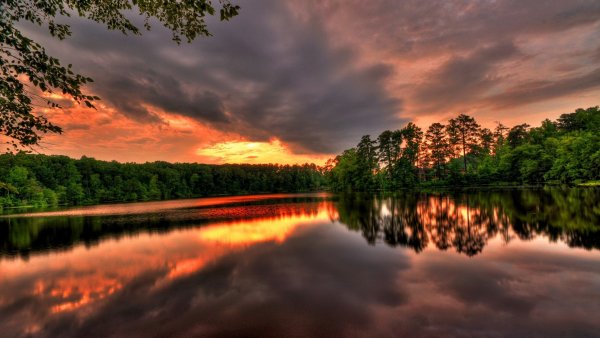 Фон для рабочего стола природа