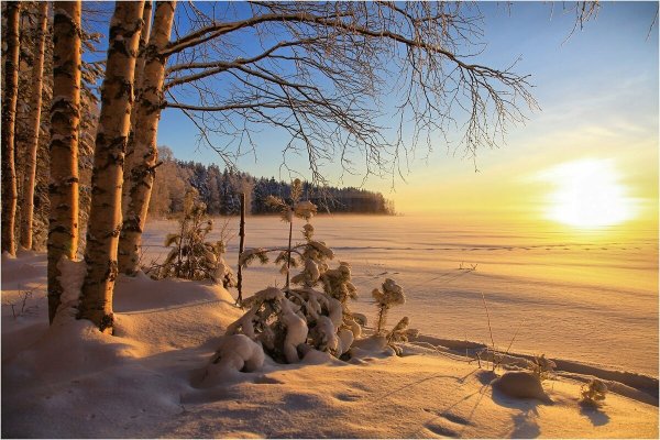 Февральский пейзаж