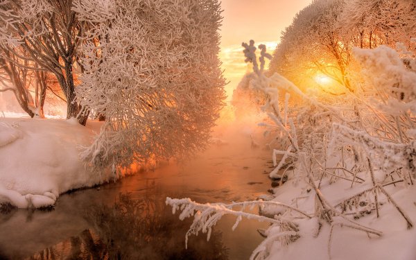 Снежное утро