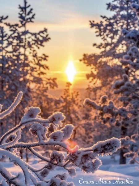 Картинки природа зима доброе утро (69 фото) » Картинки и статусы про  окружающий мир вокруг