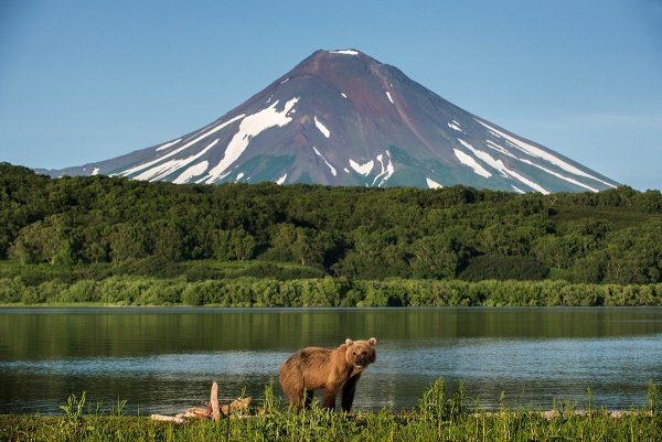 Кроноцкий заповедник Камчатский край