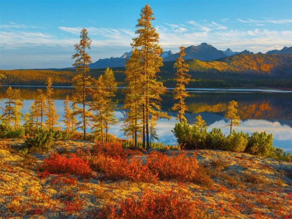 Хабаровский край горы Камчатка