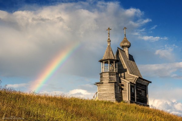 Берёзы России на фоне храма на Нерли