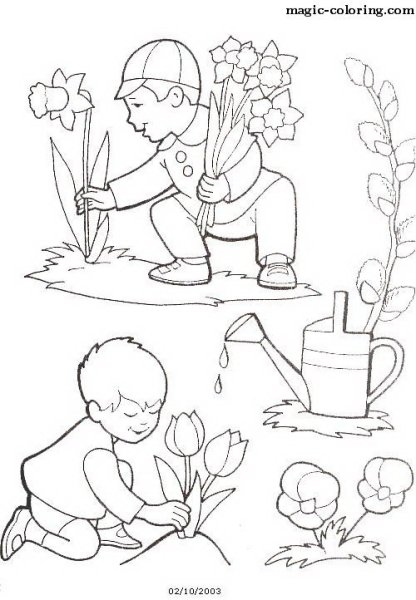 Картинки на тему берегите растения