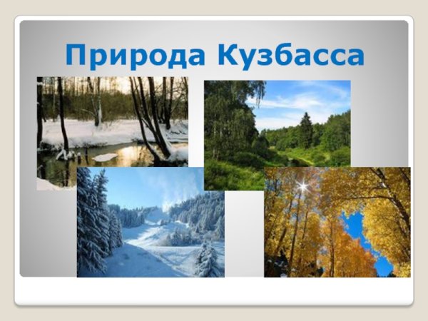 Проект природа Кузбасса