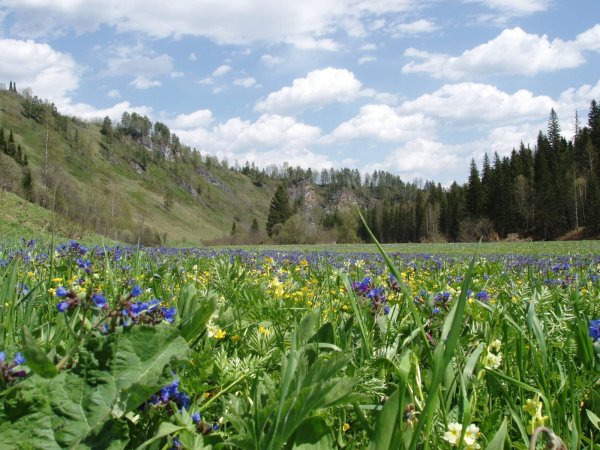 Горная Шория Кузнецкий Алатау