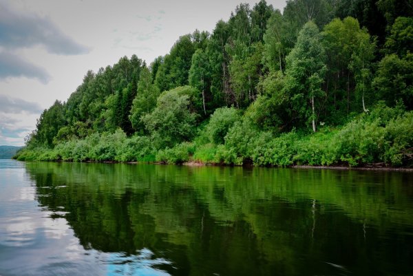 Река Томь Кузбасс