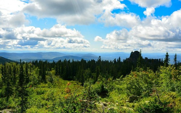 Тайга горной Шории
