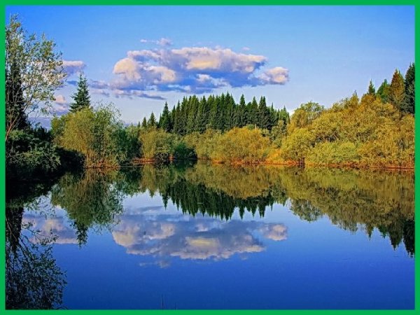 Родной край Кузбасс