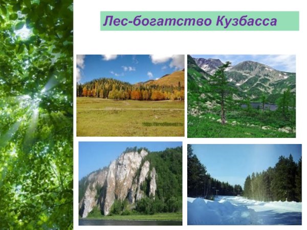Богатство Кузбасса
