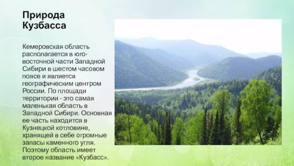 Разнообразие природы Кемеровской области