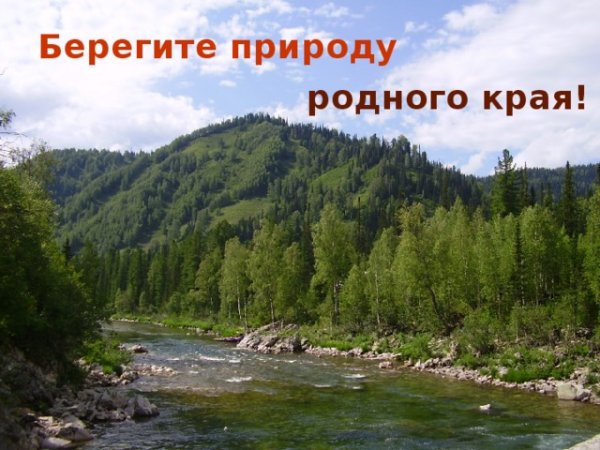 Бережем природу родного края