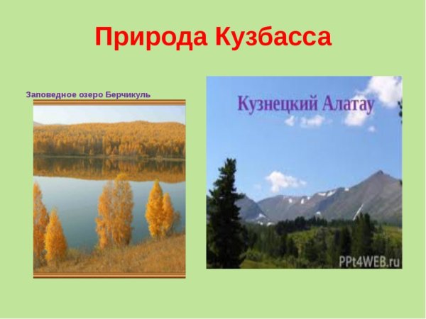 Природа Кузбасса для дошкольников