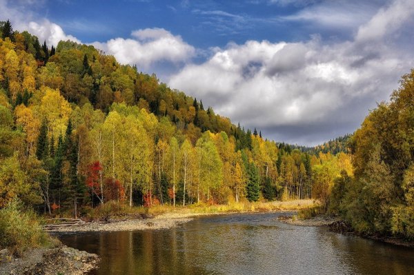 Природа Кузбасса Кемерово