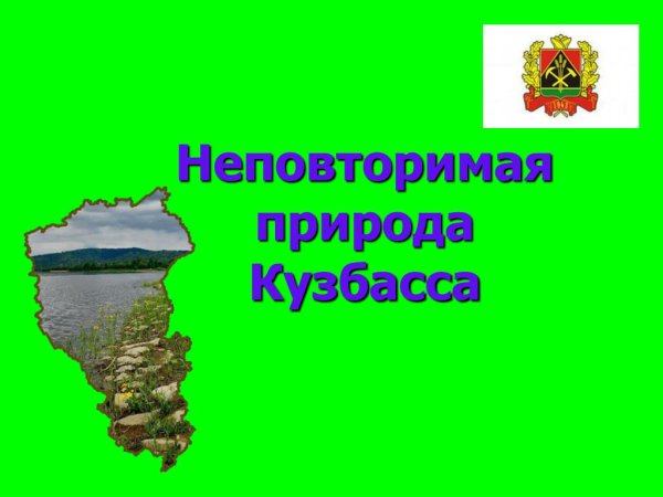 Разнообразие природы Кузбасса
