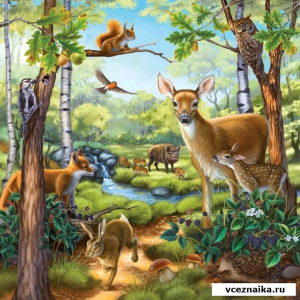 Лес с дикими животными