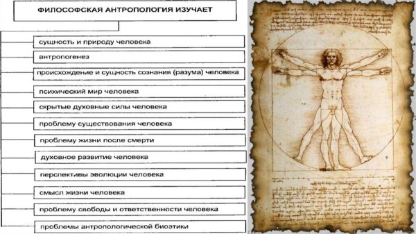 Сущность человека