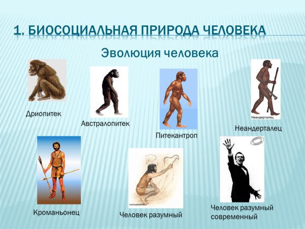 Многомерность пространства