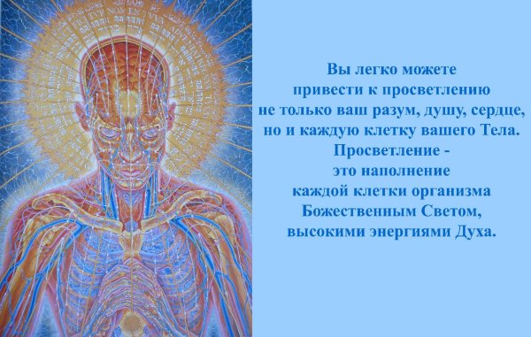 Бытие и реальность виды реальностей