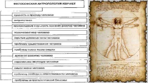 Камерон грей художник