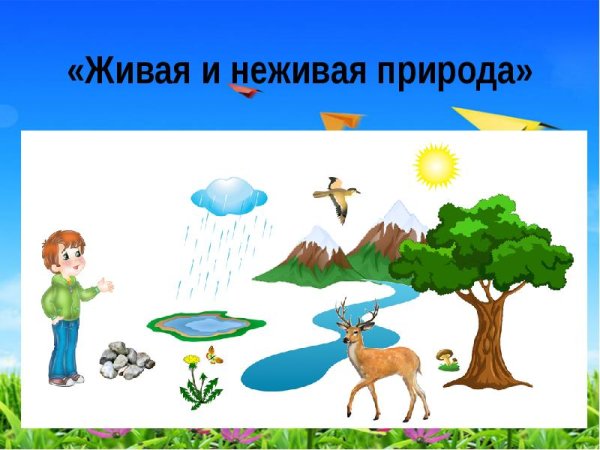 Пейзаж живой и неживой природы