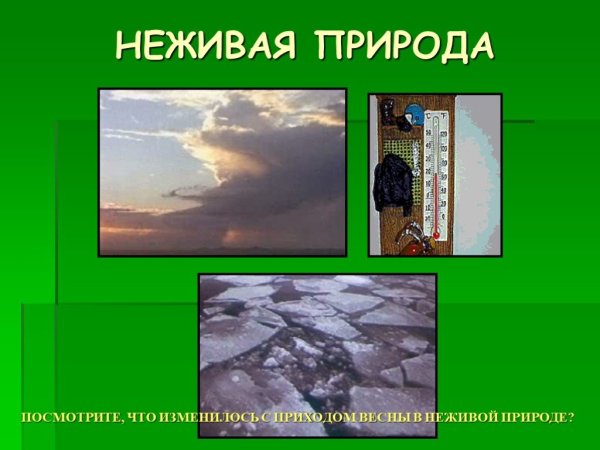 Неживая природа весной
