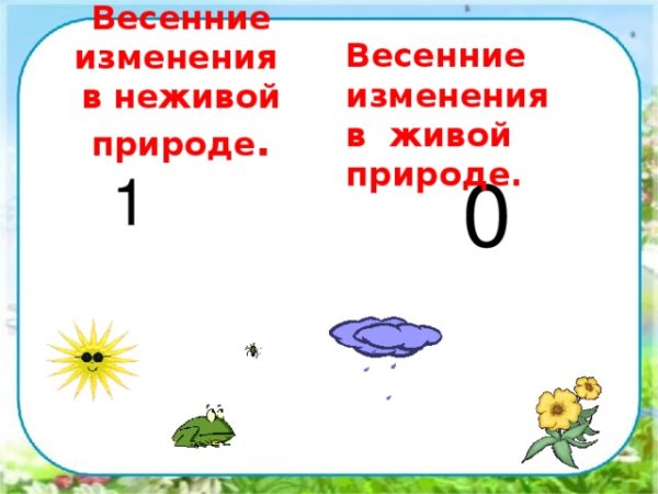Весенние изменения в живой и неживой природе