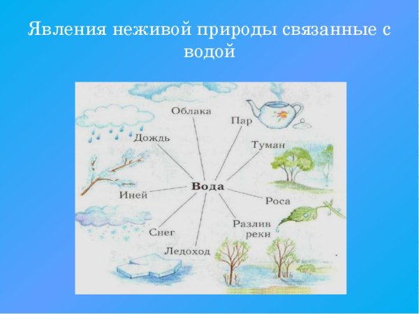 Явления живой природы