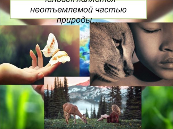 Экология человека