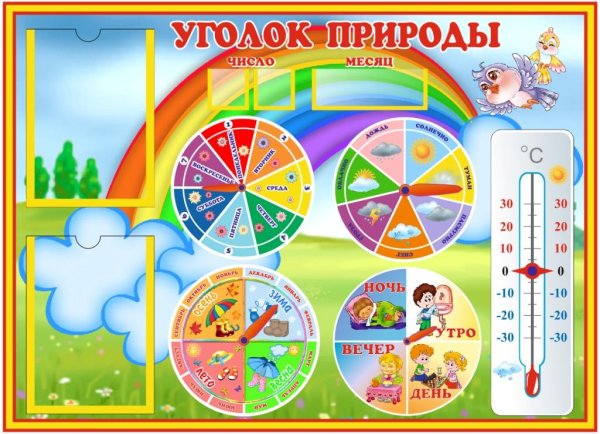 Стенд уголок природы для детского сада