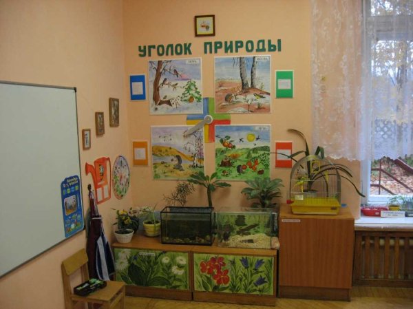 Уголок в детском саду для ознакомления с природой